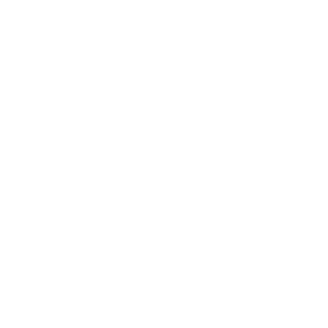 Logo Italo